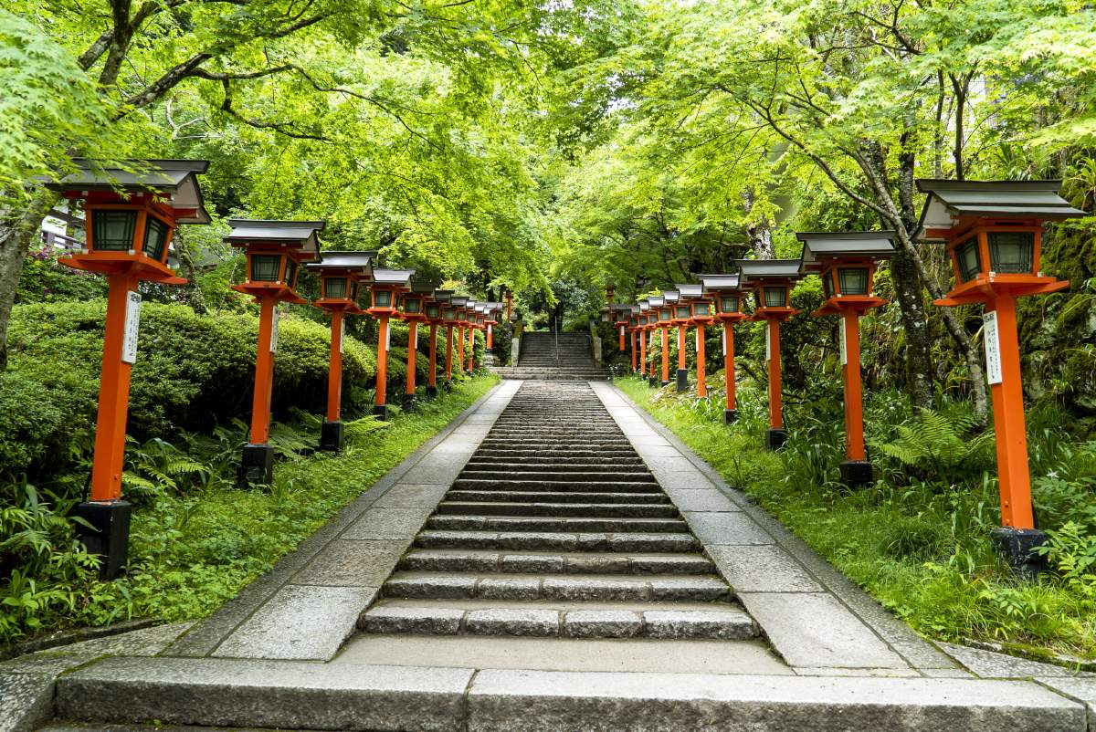 An ordered array of lamps running along a concrete stairway