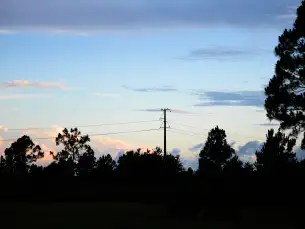 A flock of birds perched on a power line at sunset.